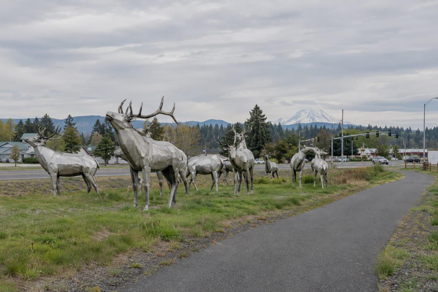 Nine life-size stainless steel elk sculptures on the grass beside the Foothills Trail in Enumclaw, with Mount Rainier on the horizon