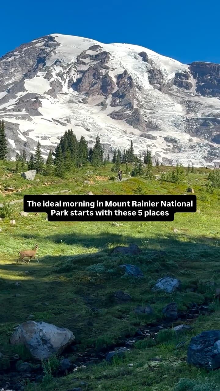 A 5:30 a.m. Start and Wildflowers: One Creator’s Paradise Morning Done Right