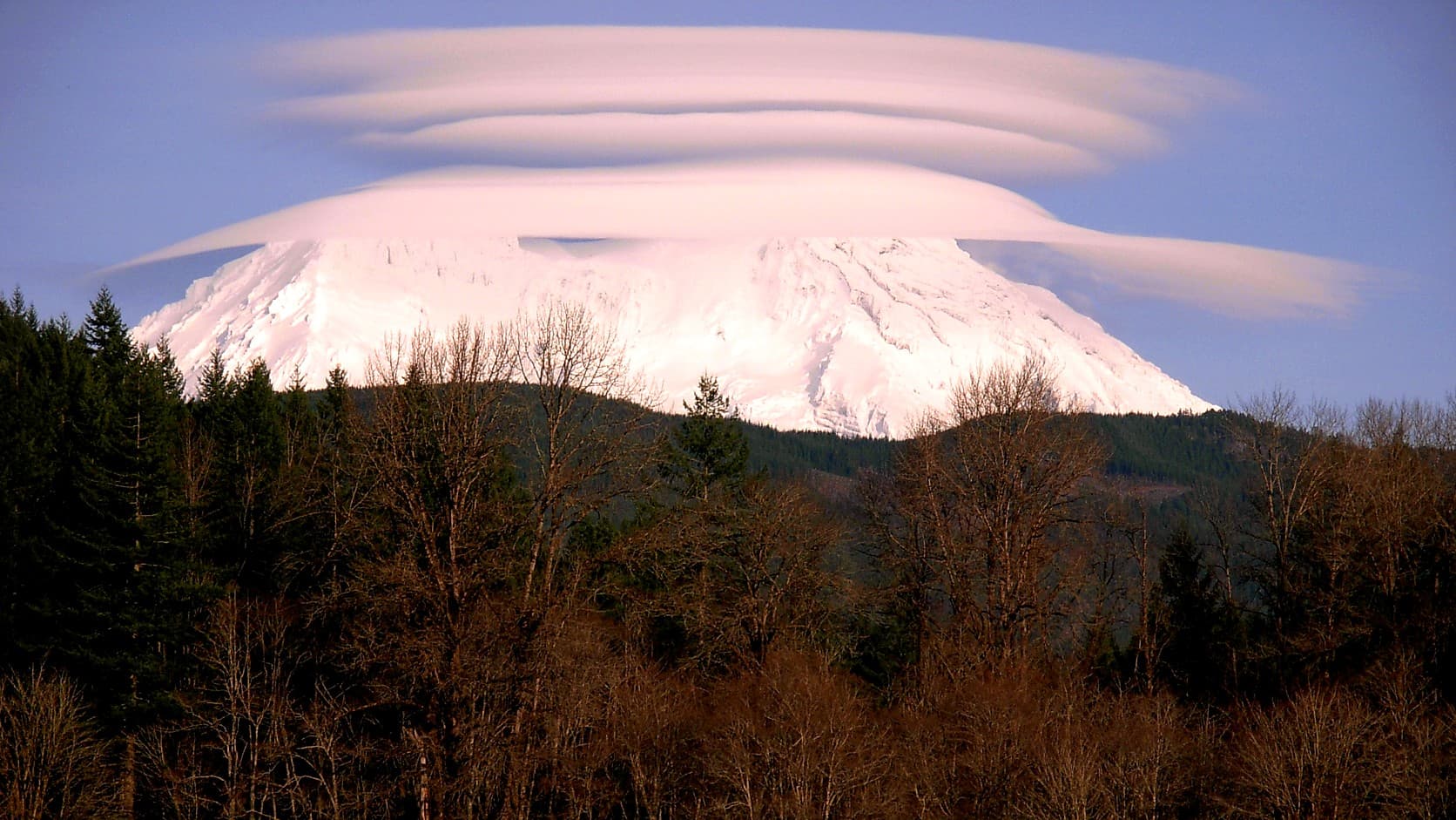 A stack of smooth, plate-shaped lenticular clouds lying just above the snow-covered summit of Mount Rainier, over a dark forested ridge and bare winter trees.