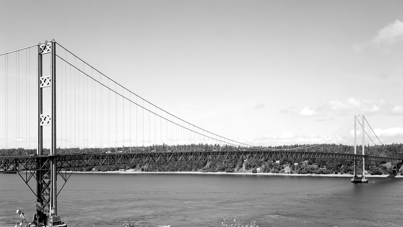 A black-and-white photograph of a long suspension bridge crossing a wide stretch of water, with a tall steel tower and thin vertical suspender cables at left, a second tower far off at right, forested shoreline behind the deck and a few shrubs along the bottom edge.